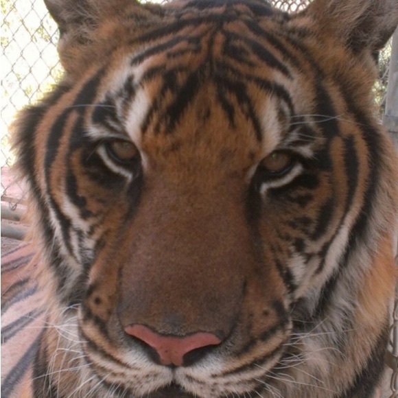 Meet your Posher, Susan - Picture 9 of 16